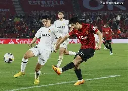 布达佩斯大饭店删减了哪些